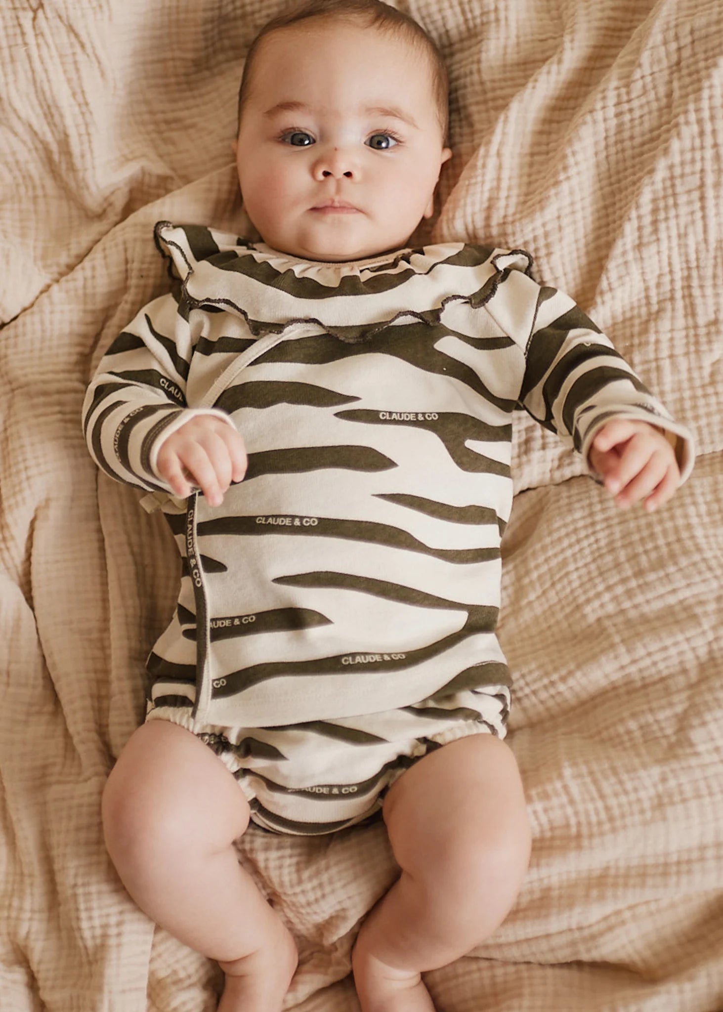 Zebra Set