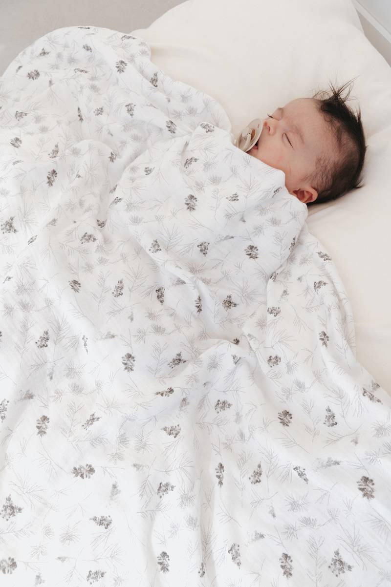 Swaddle Muslin XL multi-uso 120x120cm 2-Pack - Pineta / Light Blue