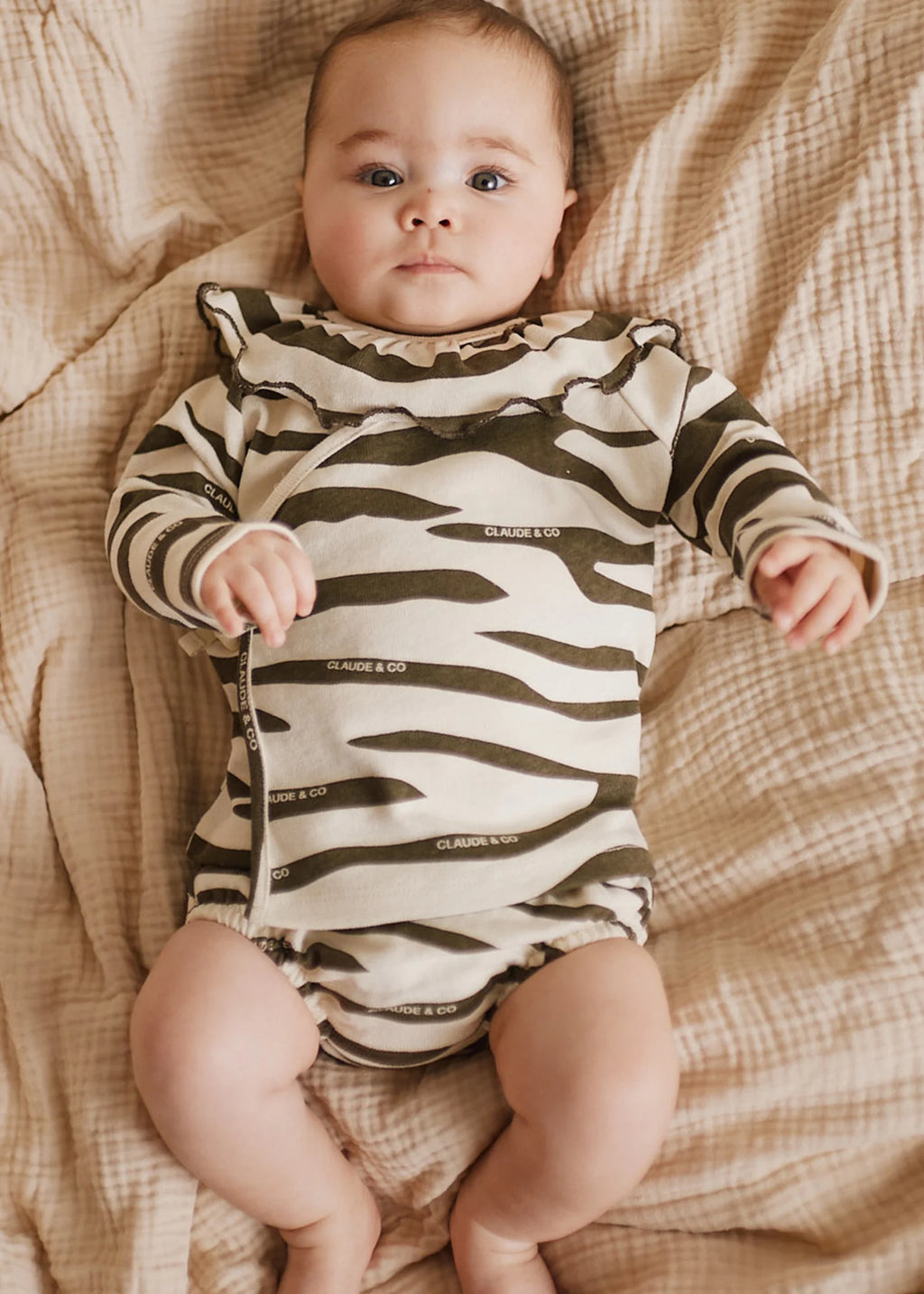 Zebra Set