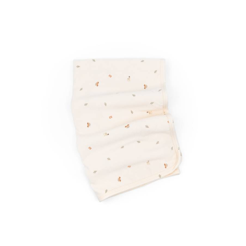 Coperta clinica neonato 75x100 - NATALE